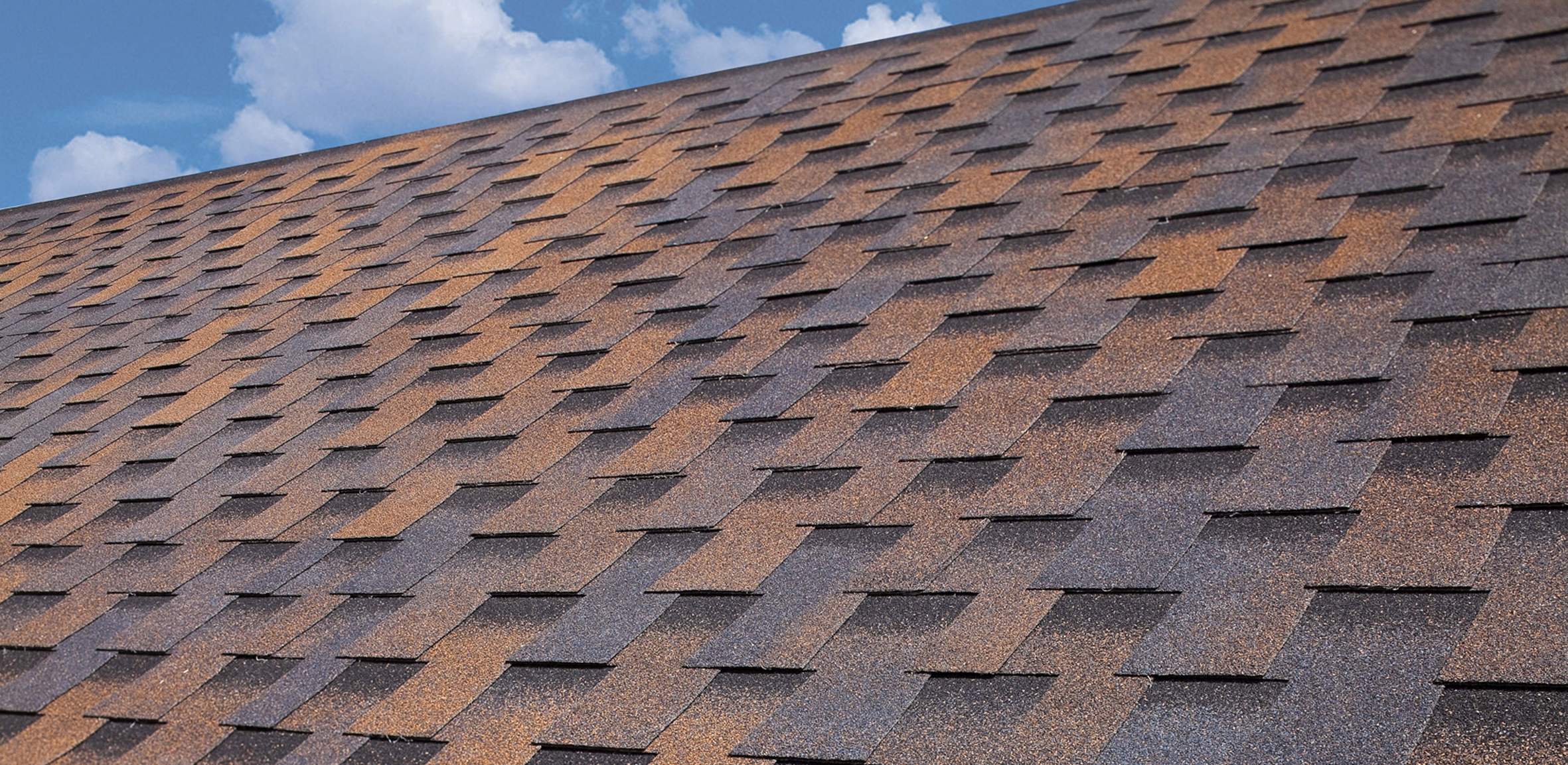 BTM Shingle Dragon